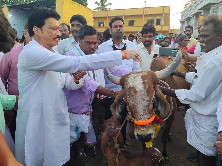 ಮಾನ್ವಿ ತಾಲ್ಲೂಕಿನ ನೀರಮಾನ್ವಿ ಗ್ರಾಮದಲ್ಲಿ ಶುಕ್ರವಾರ ಶಾಸಕ ರಾಜಾ ವೆಂಕಟಪ್ಪ ನಾಯಕ ಅವರು ಗೋವು ಪೂಜೆ ಮಾಡಿದರು