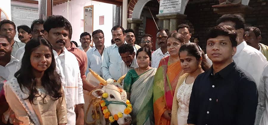 ಶಕ್ತಿನಗರ ಬಳಿಯ ದೇವಸೂಗೂರು ಗ್ರಾಮದ ಸೂಗೂರೇಶ್ವರ ಸ್ವಾಮಿಯ ದೇವಸ್ಥಾನದ ಆವರಣದಲ್ಲಿ ಶುಕ್ರವಾರ ಶಾಸಕ ಬಸನಗೌಡ ದದ್ದಲ್ ಅವರು ಕುಟುಂಬದೊಂದಿಗೆ ಗೋವು ಪೂಜೆ ಸಲ್ಲಿಸಿದರು