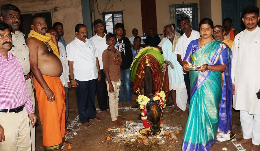 ಶ್ರೀಕ್ಷೇತ್ರ ಯಲ್ಲಮ್ಮನಗುಡ್ಡದ ಯಲ್ಲಮ್ಮ ದೇವಿ ದೇವಸ್ಥಾನದಲ್ಲಿ ಶುಕ್ರವಾರ ನಡೆದ ಗೋ ಪೂಜಾ ಕಾರ್ಯಕ್ರಮಕ್ಕೆ ವಿಧಾನಸಭೆ ಉಪಸಭಾಧ್ಯಕ್ಷ ಆನಂದ ಮಾಮನಿ ಚಾಲನೆ ನೀಡಿದರು