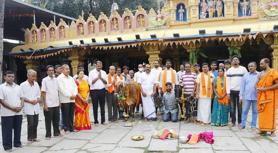 ಶಿವಮೊಗ್ಗದ ಕೋಟೆ ಸೀತಾರಾಮಾಂಜನೇಯ ದೇವಸ್ಥಾನದ ಆವರಣದಲ್ಲಿ ಶುಕ್ರವಾರ ಗೋವುಗಳಿಗೆ ಪೂಜೆ ಸಲ್ಲಿಸಲಾಯಿತು (ಎಡಚಿತ್ರ). ಶಿವಮೊಗ್ಗದ ಜೈನ್ ಗೋಶಾಲೆಗೆ ಮಾಜಿ ಶಾಸಕ ಕೆ.ಬಿ. ಪ್ರಸನ್ನ ಕುಮಾರ್ ಅವರು ಪಕ್ಷದ ಕಾರ್ಯಕರ್ತರೊಂದಿಗೆ ಶುಕ್ರವಾರ ಭೇಟಿ ನೀಡಿ ಕರುವಿಗೆ ಪೂಜೆ ಸಲ್ಲಿಸಿದರು.