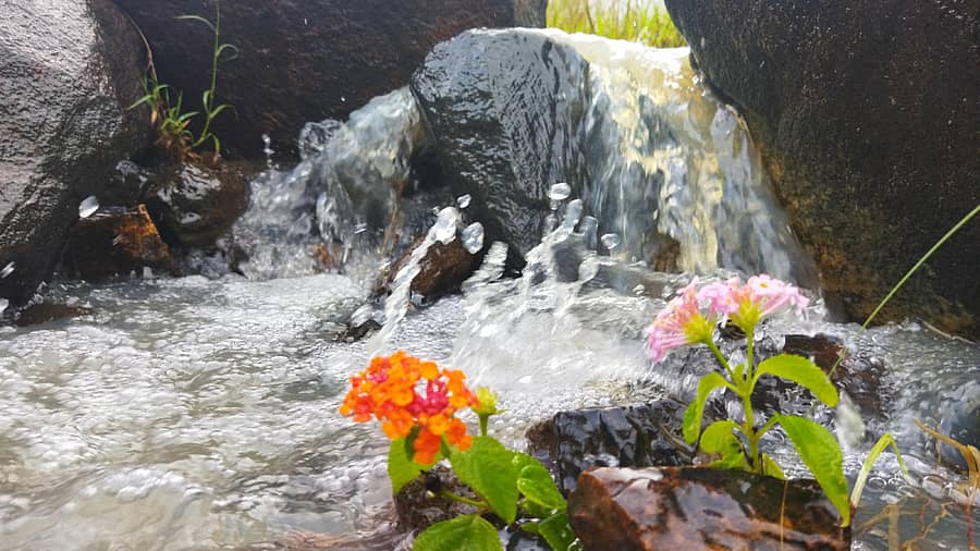 ಯಳಂದೂರು ತಾಲ್ಲೂಕಿನ ಬಿಳಿಗಿರಿಕಾಡಿನ ನಡುವೆ ಹರಿಯುತ್ತಿರುವ ತೊರೆ