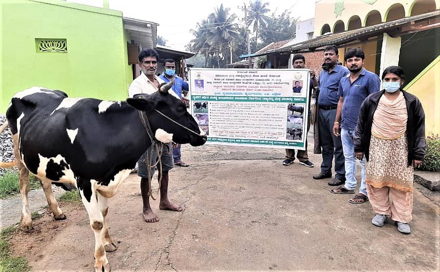 ಬರಡನಹಳ್ಳಿ ಗ್ರಾಮದಲ್ಲಿ ಸೋಮವಾರ ಜಾನುವಾರುಗಳಿಗೆ ಕಾಲುಬಾಯಿ ಜ್ವರದ ಲಸಿಕೆಯನ್ನು ಡಾ.ಯು.ಸಿ. ಕುಮಾರ್ ನೀಡಿದರು. ಡಾ.ಪಂಕಜಾ, ಗ್ರಾಮ ಪಂಚಾಯಿತಿ ಸದಸ್ಯ ಸುಮಂತ್ ಉಪಸ್ಥಿತರಿದ್ದರು