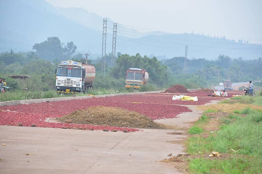 ಹೊಸಪೇಟೆ ಹೊರವಲಯದಲ್ಲಿ ಹೊಸಪೇಟೆ–ಬಳ್ಳಾರಿ ಚತುಷ್ಪಥ ಕಾಮಗಾರಿಯ ಒಂದು ಭಾಗದಲ್ಲಿ ಸಿ.ಸಿ. ರಸ್ತೆ ನಿರ್ಮಿಸಲಾಗಿದ್ದು, ರೈತರು ಅದನ್ನೇ ಕಣ ಮಾಡಿಕೊಂಡು ಮೆಣಸಿನಕಾಯಿ ಒಣ ಹಾಕಿದ್ದಾರೆಪ್ರಜಾವಾಣಿ ಚಿತ್ರ: ಸಿ. ಅಭಿಷೇಕ್