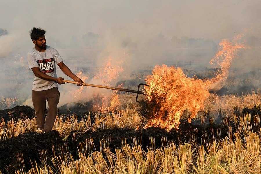 ಪಂಜಾಬ್‌ನ ಹೊಲವೊಂದರಲ್ಲಿ ಕೃಷಿತ್ಯಾಜ್ಯಕ್ಕೆ ಬೆಂಕಿ ಇಡುತ್ತಿರುವ ಚಿತ್ರ