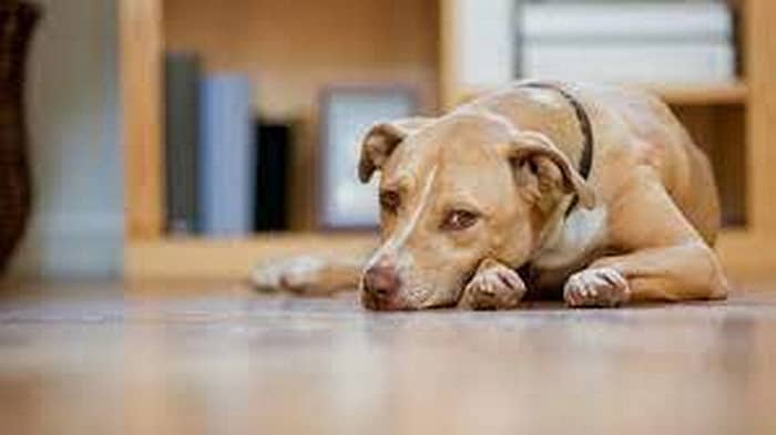 ಸಾಂದರ್ಭಿಕ ಚಿತ್ರ