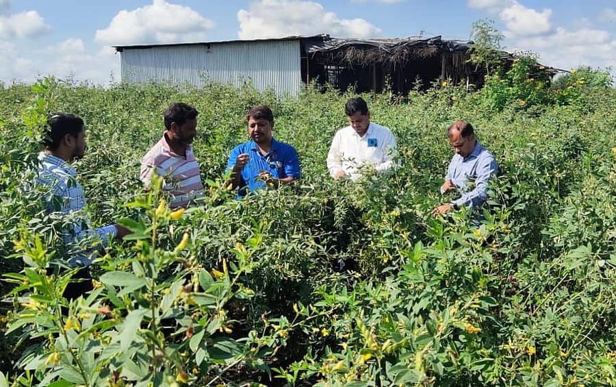 ಬೀದರ್ ತಾಲ್ಲೂಕಿನ ಜನವಾಡ ಸಮೀಪದ ಕೃಷಿ ವಿಜ್ಞಾನ ಕೇಂದ್ರದ ವಿಜ್ಞಾನಿಗಳು ಹಾಗೂ ಕೃಷಿ ಅಧಿಕಾರಿಗಳು ತೊಗರಿ ಬೆಳೆ ಪರಿಶೀಲನೆ ನಡೆಸಿದರು