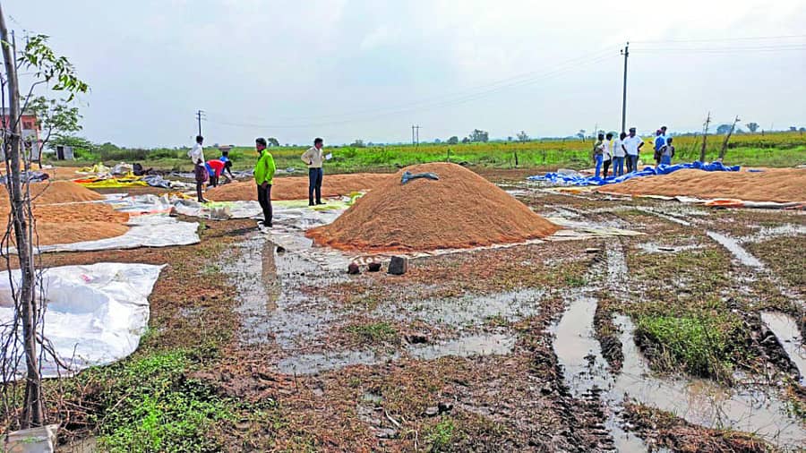 ಸುರಪುರ ತಾಲ್ಲೂಕಿನ ಹೆಮನೂರು ಗ್ರಾಮದಲ್ಲಿ ಭತ್ತದ ರಾಶಿಗೆ ಮಳೆ ನೀರು ನುಗ್ಗಿದ್ದನ್ನು ತಹಶೀಲ್ದಾರ್ ಸುಬ್ಬಣ್ಣ ಜಮಖಂಡಿ ಬುಧವಾರ ಪರಿಶೀಲಿಸಿದರು