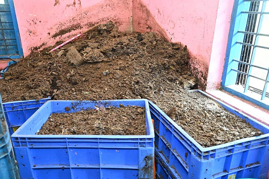 ಕಾರವಾರ ತಾಲ್ಲೂಕಿನ ಚಿತ್ತಾಕುಲಾ ಗ್ರಾ.ಪಂ.ನಲ್ಲಿ ಹಸಿ ಕಸದಿಂದ ತಯಾರಿಸಿದ ಸಾವಯವ ಗೊಬ್ಬರ ಪ್ರಜಾವಾಣಿ ಚಿತ್ರ: ದಿಲೀಪ ರೇವಣಕರ್