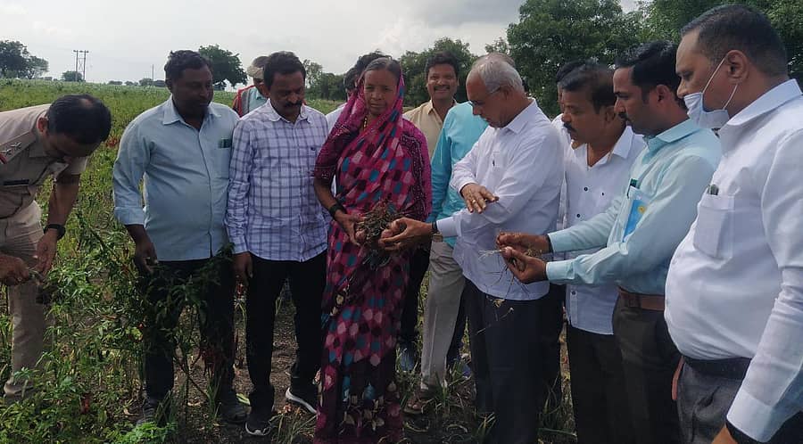 ಕುಕನೂರು ತಾಲ್ಲೂಕಿನ ಬಿನ್ನಾಳ ಗ್ರಾಮದಲ್ಲಿ ಮಳೆಗೆ ಹಾನಿಗೊಳಗಾದ ಈರುಳ್ಳಿ ಬೆಳೆಯನ್ನು ಜಿಲ್ಲಾ ಉಸ್ತುವಾರಿ ಸಚಿವ ಹಾಲಪ್ಪ ಆಚಾರ ಬುಧವಾರ ವೀಕ್ಷಿಸಿದರು