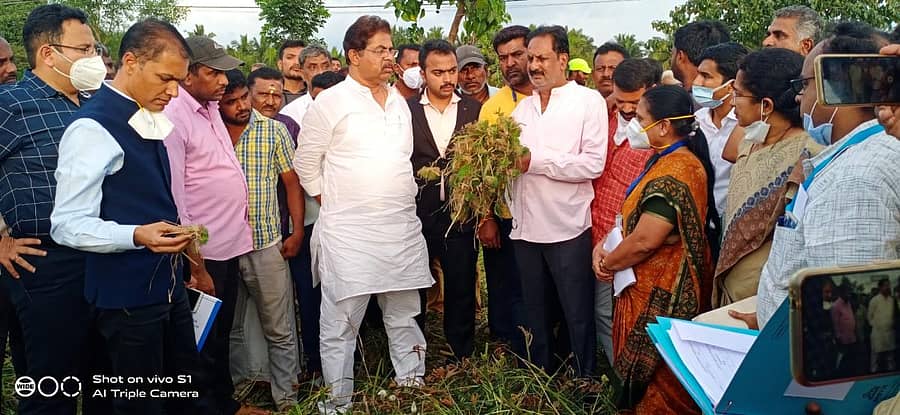 ಕುಣಿಗಲ್ ತಾಲ್ಲೂಕಿನ ಜಲಧಿಗೆರೆ ಗ್ರಾಮದಲ್ಲಿ ಮಳೆಯಿಂದ ಹಾನಿಯಾದ ರಾಗಿ ಬೆಳೆಯನ್ನು ಪರಿಶೀಲಿಸಿದ ಸಚಿವ ಆರ್. ಅಶೋಕ. ಜಿಲ್ಲಾಧಿಕಾರಿ ವೈ.ಎಸ್. ಪಾಟೀಲ, ಉಪ ವಿಭಾಗಾಧಿಕಾರಿ ಅಜಯ್, ಕೃಷಿ ಇಲಾಖೆಯ ಜಂಟಿ ನಿರ್ದೇಶಕಿ ರಾಜಸುಲೋಚನಾ ಇದ್ದರು