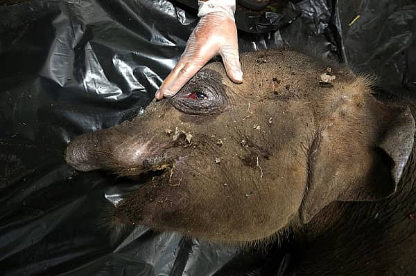 ಸಾಂದರ್ಭಿಕ ಚಿತ್ರ