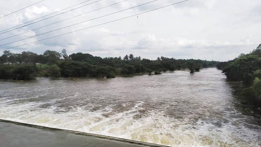 ಇತ್ತೀಚೆಗೆ ಸುರಿದ ಭಾರಿ ಮಳೆಯಿಂದಾಗಿ ಮದ್ದೂರು ತಾಲ್ಲೂಕಿನಲ್ಲಿ ಹರಿಯುವ ಶಿಂಷಾ ನದಿಗೆ ಜೀವಕಳೆ ಬಂದಿದ್ದು ಮೈದುಂಬಿ ಹರಿಯುತ್ತಿದೆ