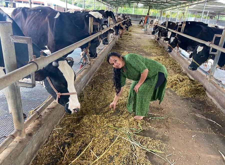 ಚಿತ್ರಸುದ್ದಿ:ಧರ್ಮಪುರ ಹೋಬಳಿಯ ಮುಂಗುಸುವಳ್ಳಿ ಮಹಿಳೆ ಜಿ.ಪಿ.ಲತಾ ಹಸು ಸಾಕಾಣಿಕೆ ಕೇಂದ್ರದಲ್ಲಿ