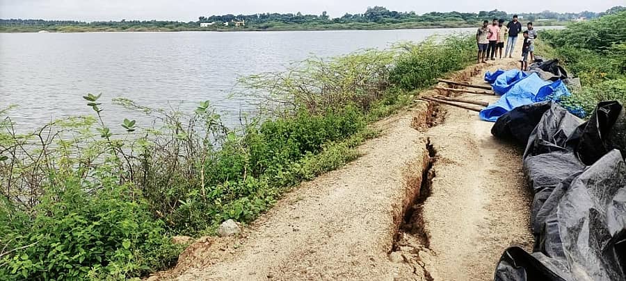 ಕಡೂರು ತಾಲ್ಲೂಕಿನ ಎಂ.ಕೋಡಿಹಳ್ಳಿ ಕೆರೆಯ ಏರಿ ಬಿರುಕು ಬಿಟ್ಟಿರುವುದು