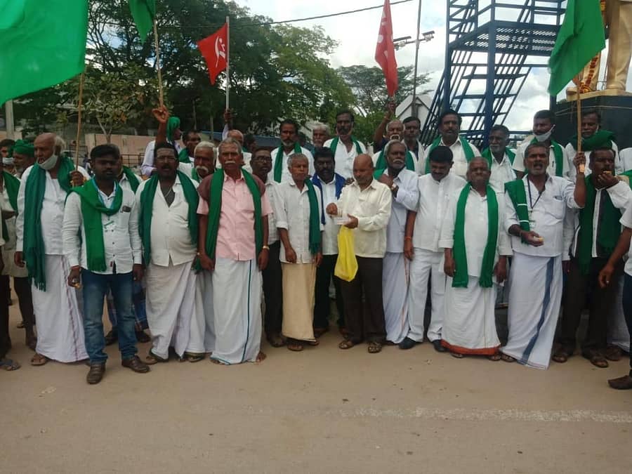 ಪಾವಗಡದಲ್ಲಿ ಅಂಬೇಡ್ಕರ್ ವಿಗ್ರಹಕ್ಕೆ ಮಾಲಾರ್ಪಣೆ ಮಾಡಿ ಸಿಹಿ ಹಂಚುವ ಮೂಲಕ ರಾಜ್ಯ ರೈತ ಸಂಘ, ಪ್ರಗತಿಪರ ಸಂಘಟನೆಗಳ ಪದಾಧಿಕಾರಿಗಳು ವಿಜಯೋತ್ಸವ ಆಚರಿಸಿದರು