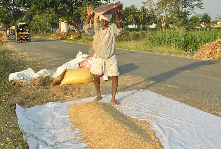 ಸಾಂದರ್ಭಿಕ ಚಿತ್ರ (ಮಂಡ್ಯ ತಾಲ್ಲೂಕಿನ ಚೀರನಹಳ್ಳಿಯಲ್ಲಿ ಒಕ್ಕಣೆ ಮಾಡಿದ ಭತ್ತ ತೂರುತ್ತಿರುವ ರೈತ)