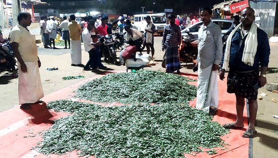 ಹೊಳಲ್ಕೆರೆ ತಾಲ್ಲೂಕಿನ ಹೊರಕೆರೆ ದೇವರಪುರದಲ್ಲಿ ಅವರೆಕಾಯಿ ವ್ಯಾಪಾರ ನಡೆಯುತ್ತಿರುವ ದೃಶ್ಯ.
