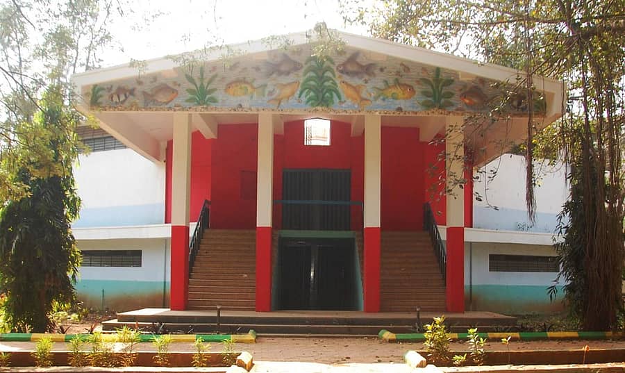 ಹುಬ್ಬಳ್ಳಿಯ ಇಂದಿರಾ ಗ್ಲಾಸ್ಹೌಸ್ನ ಮಹಾತ್ಮಗಾಂಧಿ ಉದ್ಯಾನದಲ್ಲಿರುವ ಕುಂಚಬ್ರಹ್ಮ ಮಿಣಜಗಿ ಆರ್ಟ್ ಗ್ಯಾಲರಿ ಮತ್ಸ್ಯಾಲಯವಾಗಿ ಬದಲಾಗಿರುವುದು –ಪ್ರಜಾವಾಣಿ ಚಿತ್ರ