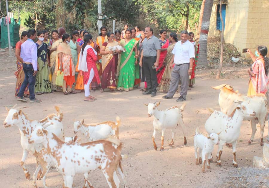 ಶಹಾಪುರ ತಾಲ್ಲೂಕಿನ ಭೀಮರಾಯನಗುಡಿ ಕೃಷಿ ಸಂಶೋಧನಾ ಕೇಂದ್ರಕ್ಕೆ ಈಚೆಗೆ ರೈತ ಮಹಿಳೆಯರು ಭೇಟಿ ನೀಡಿ ಆಧುನಿಕ ಕೃಷಿ ಪದ್ದತಿ ಬಗ್ಗೆ ಮಾಹಿತಿ ಪಡೆದರು. ಡಾ.ದಯಾನಂದ ಸಾತಿಹಾಳ, ಡಾ.ಶಿವಾನಂದ ಹೊನ್ನಾಳ್ಳಿ ಇದ್ದರು