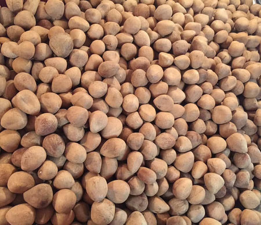 ಕೊಬ್ಬರಿ