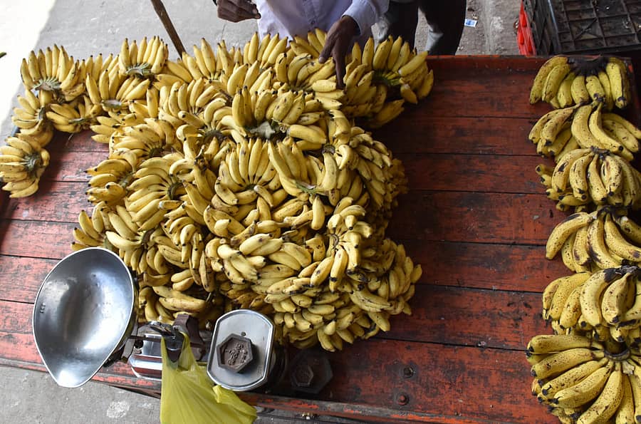 ಸಾಂದರ್ಭಿಕ ಚಿತ್ರ