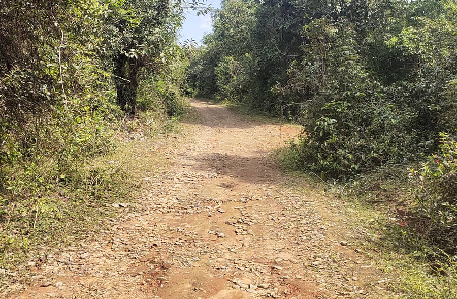 ಜಲ್ಲಿಕಲ್ಲು ಎದ್ದಿರುವ ತನಿಕೋಟು ರಸ್ತೆ.