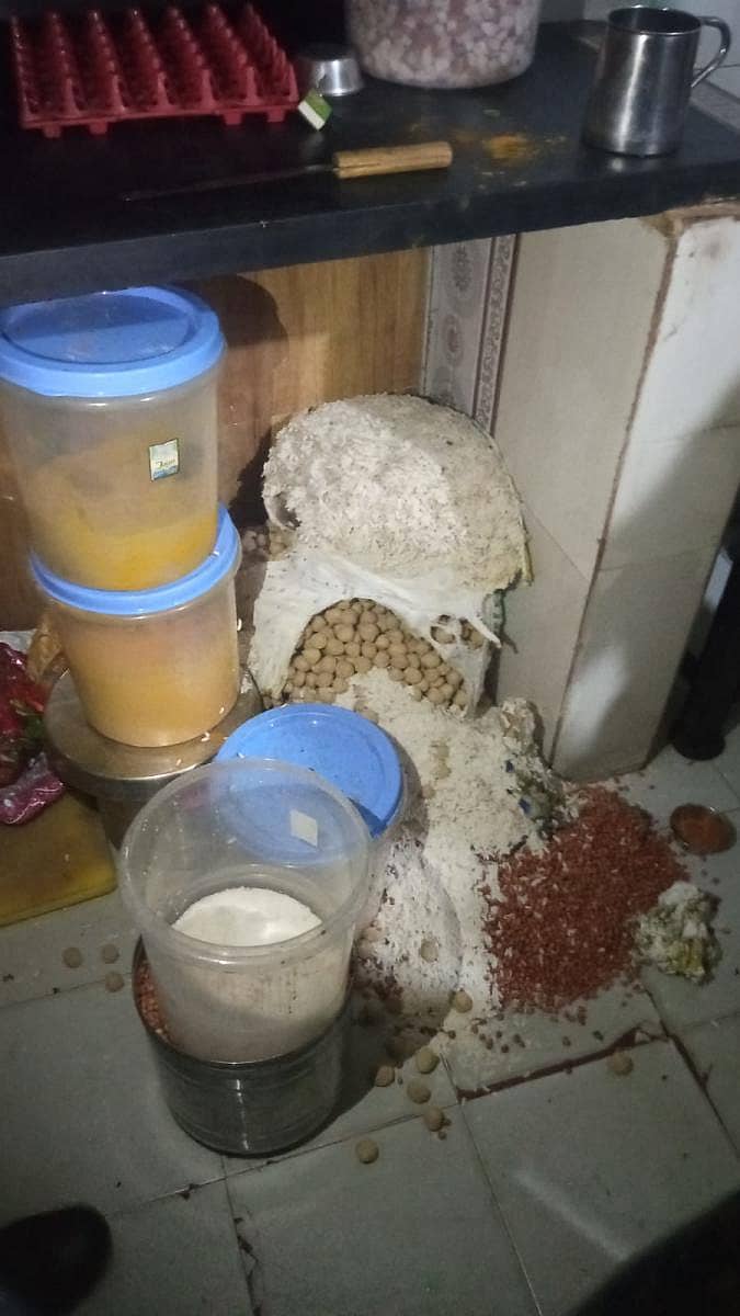 ಹೋಟೆಲ್‌ನ ಅಡುಗೆ ಕೋಣೆಯಲ್ಲಿ ಇಡಲಾಗಿದ್ದ ದಿನಸಿ ಸಾಮಾಗ್ರಿಗಳು ಚೆಲ್ಲಾಪಿಲ್ಲಿಯಾಗಿರುವುದು 