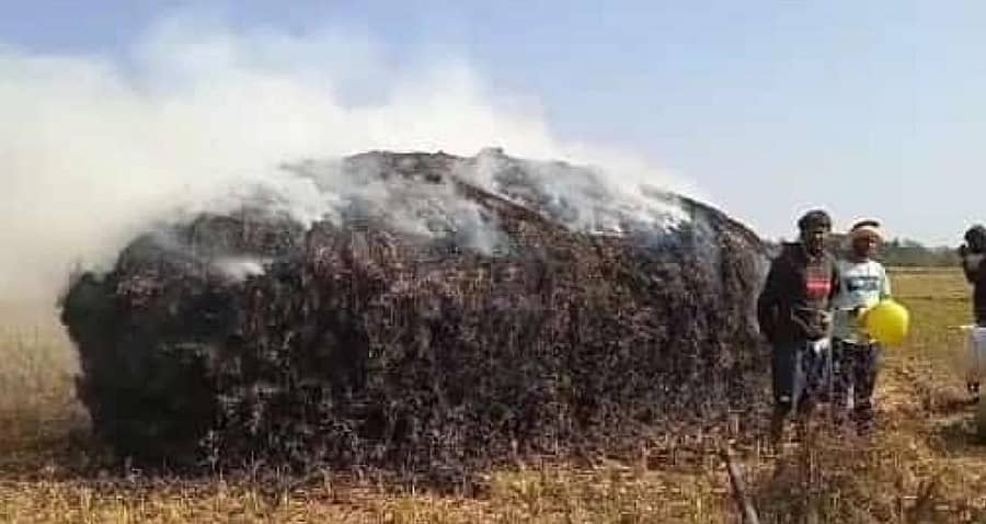 ಕುಂಸಿ ಸಮೀಪದ ಹೊಸೂರಿನಲ್ಲಿ ಭಾನುವಾರ ಭತ್ತದ ಬಣವೆಗೆ ಬೆಂಕಿ ತಗುಲಿ ಲಕ್ಷಾಂತರ ಮೌಲ್ಯದ ಭತ್ತದ ಬೆಳೆ ನಾಶವಾಗಿರುವುದು