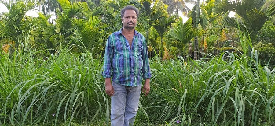 ಕೋಣಂದೂರು ಸಮೀಪದ ಹೊಸಕೊಪ್ಪದ ತಮ್ಮ ತೋಟದಲ್ಲಿ ರತ್ನಾಕರ್