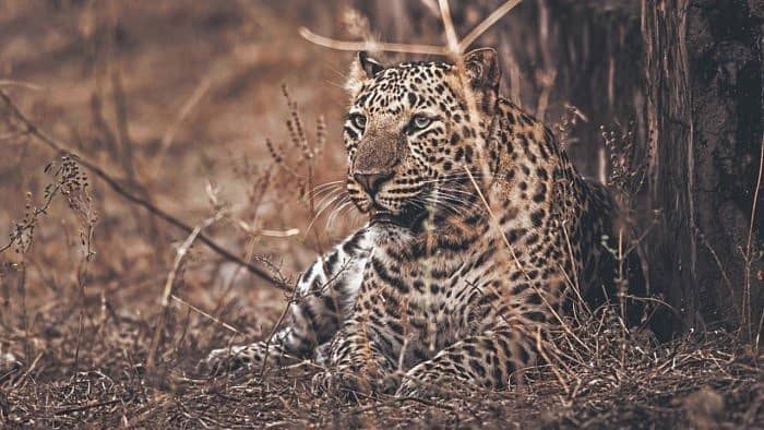 <div class="paragraphs"><p>ಸಾಂದರ್ಭಿಕ ಚಿತ್ರ</p></div>