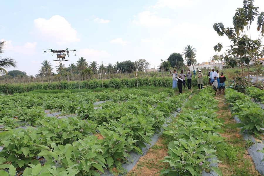 ಹನುಮಯ್ಯಗಾರಹಳ್ಳಿಯಲ್ಲಿ ಡ್ರೋನ್ ಮೂಲಕ ಬದನೆ ತೋಟದಲ್ಲಿ ಲಘು ಪೋಷಕಾಂಶಗಳ ಸಿಂಪಡಣೆ ಮಾಡುತ್ತಿರುವುದು
