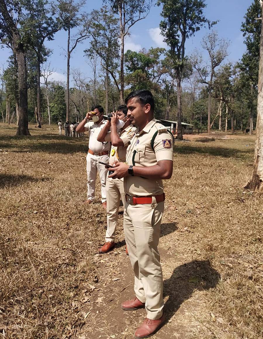 ನಾಗರಹೊಳೆ ರಾಷ್ಟ್ರೀಯ ಉದ್ಯಾನವನದಲ್ಲಿ ನೂತನ ತಂತ್ರಜ್ಞಾನ ಬಳಸಿ ಹುಲಿ ಗಣತಿ ಕಾರ್ಯಕ್ಕೆ ಸಿದ್ಧಗೊಂಡ ಅರಣ್ಯ ಇಲಾಖೆ ಸಿಬ್ಬಂದಿ (ಎಡಚಿತ್ರ). ನಾಗರಹೊಳೆ ಅರಣ್ಯದಲ್ಲಿ ಹೆಣ್ಣು ಹುಲಿ ತನ್ನ ಮರಿಗಳೊಂದಿಗೆ ಹೆಜ್ಜೆ ಹಾಕಿದ ದೃಶ್ಯ (ಸಂಗ್ರಹ ಚಿತ್ರ)