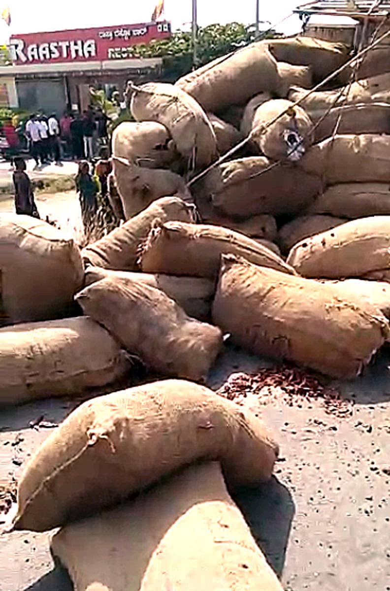 ದಾವಣಗೆರೆಯ ಪುಣೆ–ಬೆಂಗಳೂರು ರಾಷ್ಟ್ರೀಯ ಹೆದ್ದಾರಿಯಲ್ಲಿ ಬುಧವಾರ ಪಲ್ಟಿಯಾದ ಟಾಟಾ ಏಸ್ ವಾಹನದಲ್ಲಿದ್ದ ಒಣ ಮೆಣಸಿನಕಾಯಿ ಚೀಲಗಳು ಚೆಲ್ಲಾಪಿಲ್ಲಿಯಾಗಿ ಬಿದ್ದಿರುವುದು.