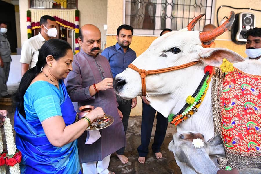 ಮುಖ್ಯಮಂತ್ರಿ ಬಸವರಾಜ ಬೊಮ್ಮಾಯಿ ಅವರು ತಮ್ಮ ಪತ್ನಿ ಚನ್ನಮ್ಮ ಅವರೊಂದಿಗೆ ತಮ್ಮ ನಿವಾಸದಲ್ಲಿ ಶುಕ್ರವಾರ ಗೋಪೂಜೆ ನೆರವೇರಿಸಿದರು