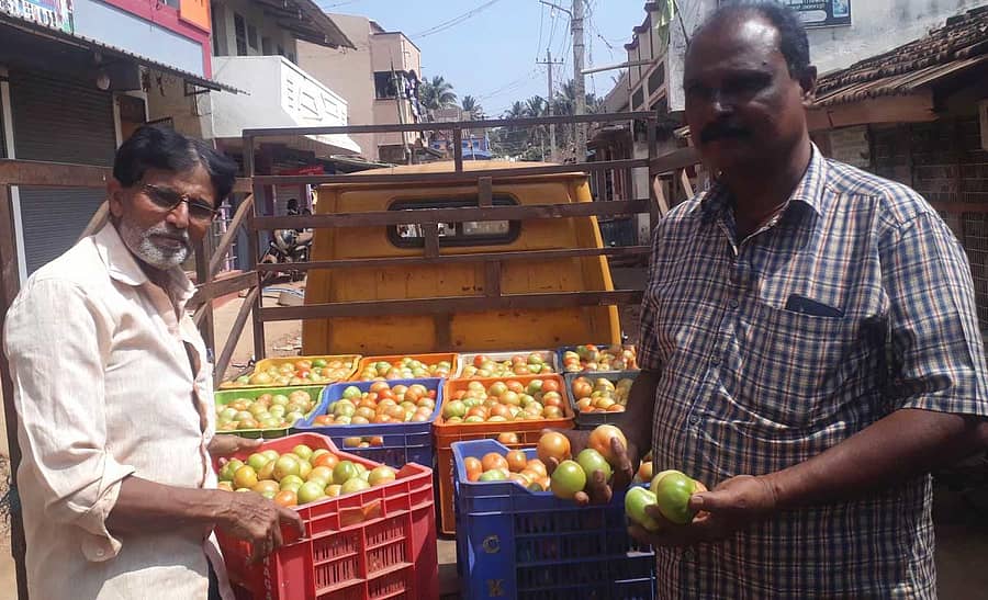 ಬಸವಾಪಟ್ಟಣದಲ್ಲಿ ಮಂಗಳವಾರ ರೈತರು ಮಾರಾಟಕ್ಕಾಗಿ ತಂದ ಟೊಮೆಟೊ ಹಣ್ಣುಗಳು
