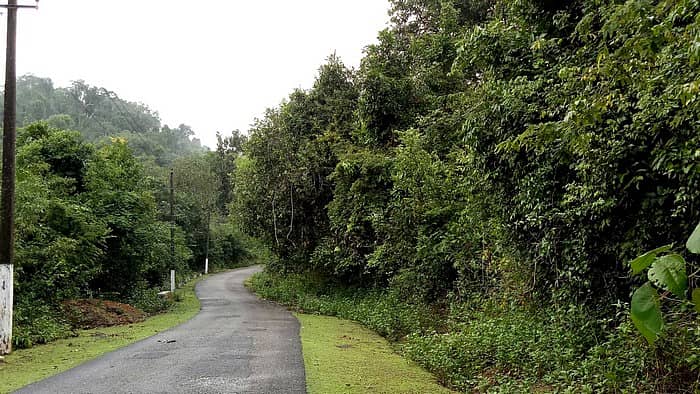 ಸಾಂದರ್ಭಿಕ ಚಿತ್ರ
