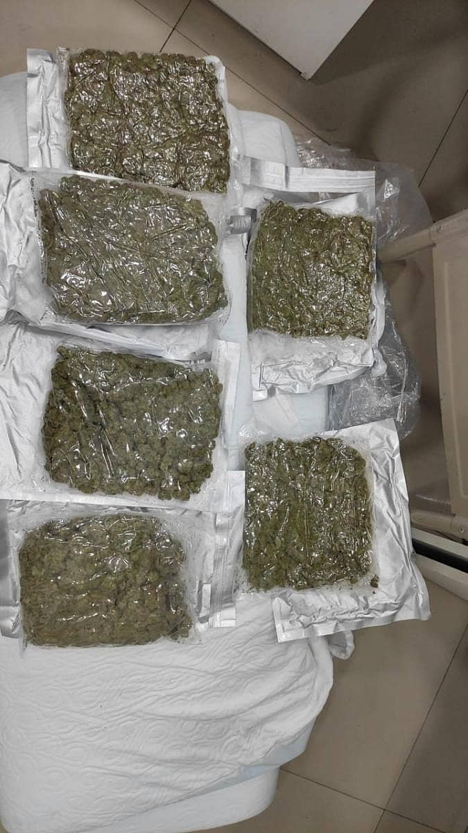 ಎನ್ಸಿಬಿ ಅಧಿಕಾರಿಗಳು ಜಪ್ತಿ ಮಾಡಿರುವ ಉತ್ತಮ ದರ್ಜೆಯ ಗಾಂಜಾ