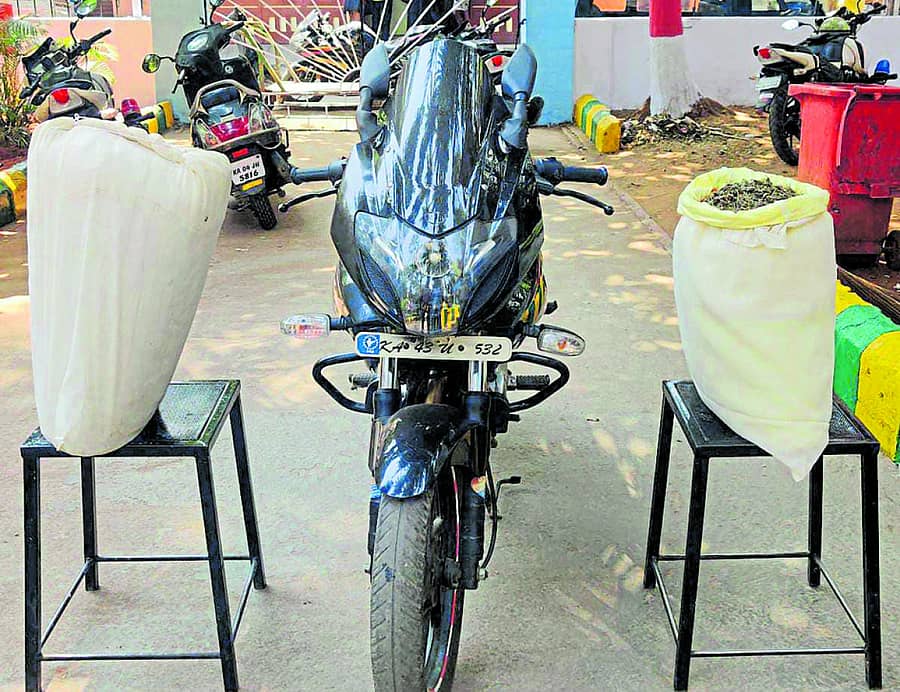 ಆರೋಪಿಗಳಿಂದ ಜಪ್ತಿ ಮಾಡಲಾದ ಗಾಂಜಾ ಹಾಗೂ ಬೈಕ್
