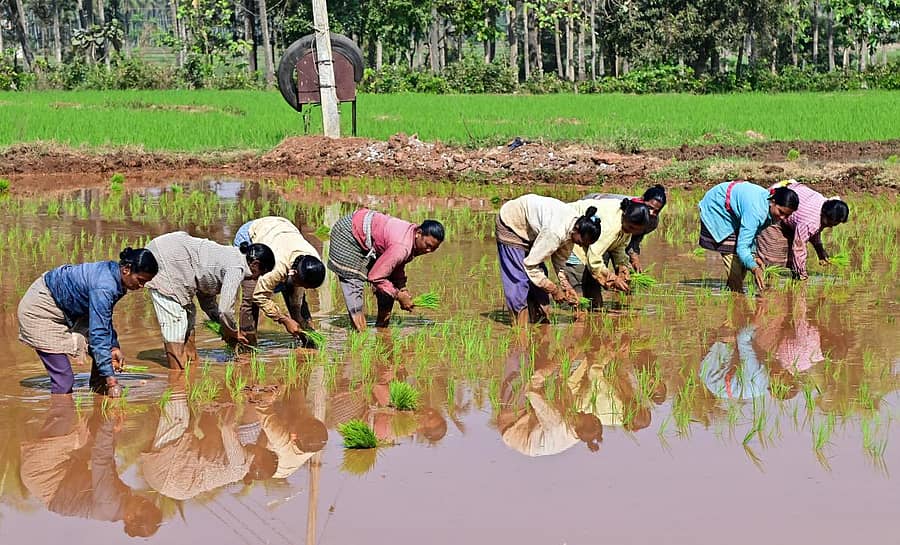 ಪ್ರಾತಿನಿಧಿಕ ಚಿತ್ರ