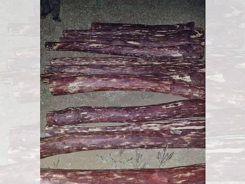 ರಕ್ತಚಂದನ