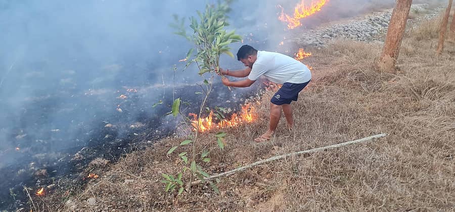 ಬೇಲೂರು ತಾಲ್ಲೂಕಿನ ಯಗಚಿ ಜಲಾಶಯದ ಸಮೀಪ ಬೆಂಕಿ ನಂದಿಸಲು ಬಳ್ಳೂರು ಉಮೇಶ್ ಪ್ರಯತ್ನಿಸಿದರು (ಎಡಚಿತ್ರ). ಅರಕಲಗೂಡು ತಾಲ್ಲೂಕಿನ ದಡದಹಳ್ಳಿ ಬಳಿ ಬೆಂಕಿಯನ್ನು ಅಗ್ನಿಶಾಮಕ ದಳದ ಸಿಬ್ಬಂದಿ ನಂದಿಸಿದರು