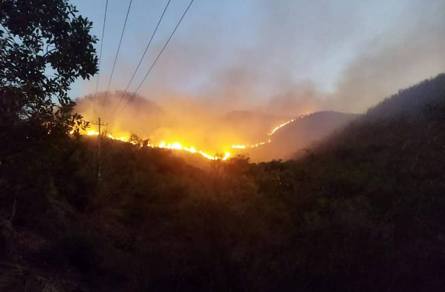 ಕಿಡಿಗೇಡಿಗಳ ಕೃತ್ಯಕ್ಕೆ ಹೊಸಪೇಟೆ ತಾಲ್ಲೂಕಿನ ಕಲ್ಲಹಳ್ಳಿ–ರಾಜಪುರದ ಕಾಡಿಗೆ ಇತ್ತೀಚೆಗೆ ಬೆಂಕಿ ಹೊತ್ತಿಕೊಂಡಿತ್ತು