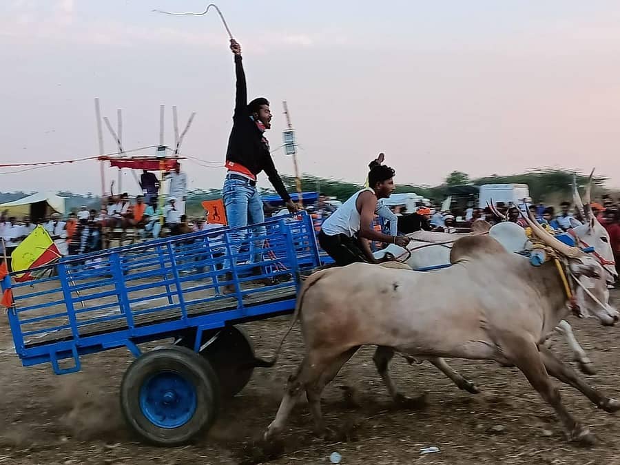 ಹೊಸದುರ್ಗದ ಹೊನ್ನೇಕೆರೆಯಲ್ಲಿ ನಡೆದ ರಾಜ್ಯಮಟ್ಟದ ಜೋಡಿ ಎತ್ತಿನ ಗಾಡಿ ಸ್ಪರ್ಧೆಯ ನೋಟ.