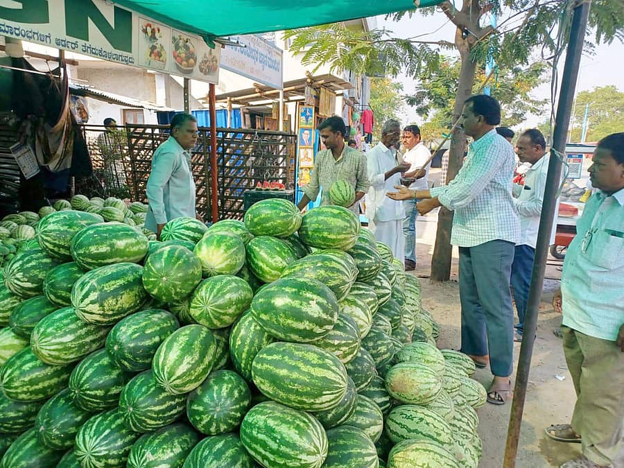 ಸಿಂಧನೂರಿನ ಸರ್ಕಾರಿ ಆಸ್ಪತ್ರೆಯ ಎದುರುಗಡೆಯಿರುವ ಹಣ್ಣಿನ ಅಂಗಡಿಯಲ್ಲಿ ಕಲ್ಲಂಗಡಿ ಹಣ್ಣವನ್ನು ಕೆಜಿಗಟ್ಟಲೇ ಜನರು ಖರೀದಿಸುತ್ತಿರುವುದು