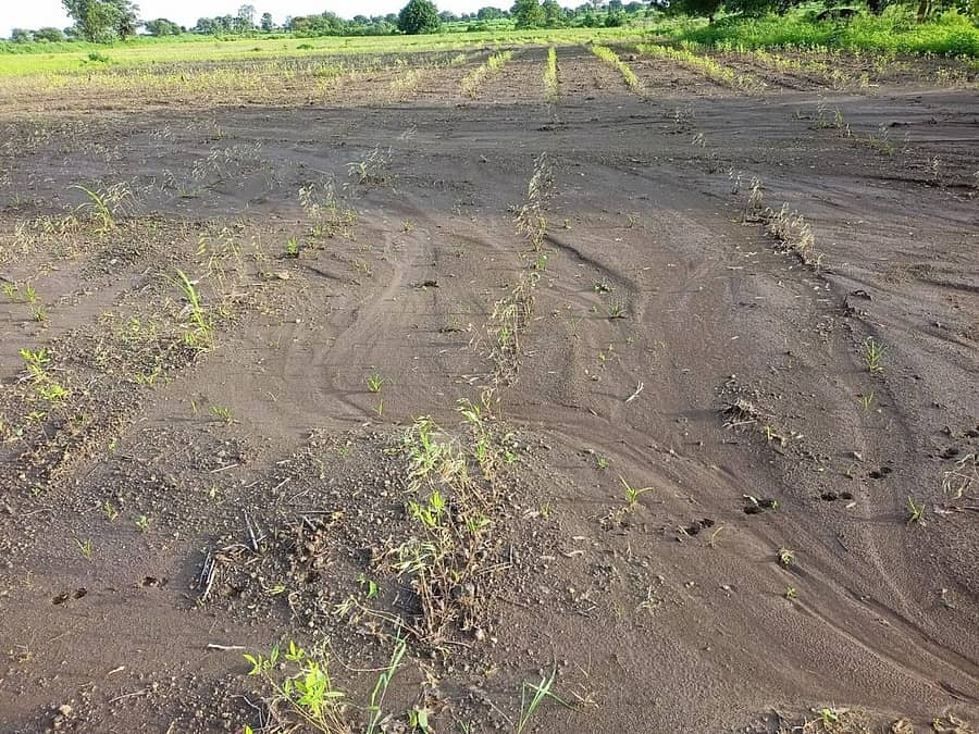 ಚಿಂಚೋಳಿ ತಾಲ್ಲೂಕಿನ ಜಮೀನಿನಲ್ಲಿ ಅತಿವೃಷ್ಟಿಯಿಂದಾಗಿ ಬೆಳೆ ಹಾಳಾಗಿರುವುದು
