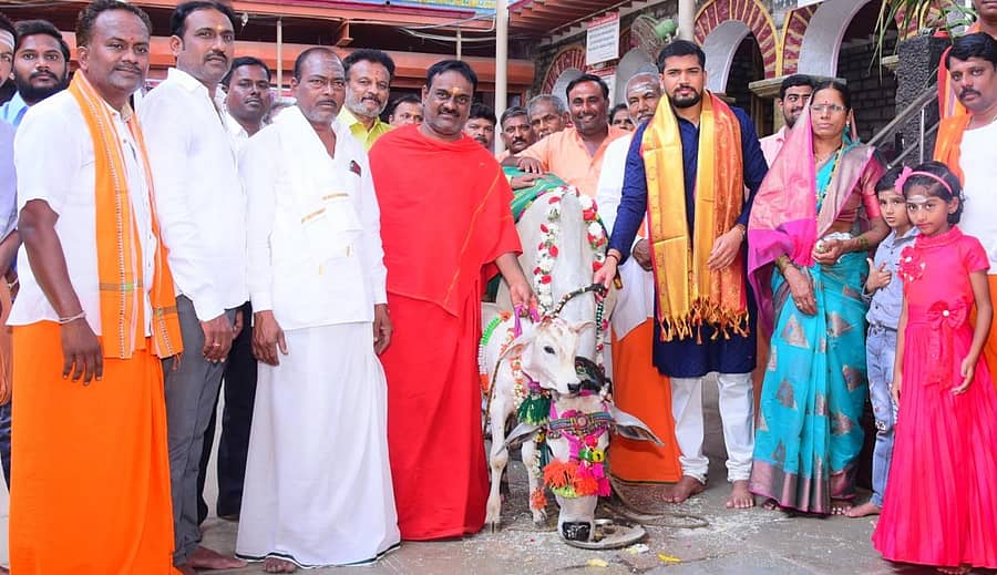 ಶಕ್ತಿನಗರ ಬಳಿಯ ದೇವಸೂಗೂರು ಸೂಗೂರೇಶ್ವರ ಸ್ವಾಮಿಯ ದೇವಸ್ಥಾನದ ಆವರಣದಲ್ಲಿ ಶನಿವಾರ ಜಿಲ್ಲಾ ಉಪವಿಭಾಗಧಿಕಾರಿ ರಜನಿಕಾಂತ್ ಚೌವ್ಹಾಣ್ ಅವರು ಗೋವು ಪೂಜೆ ಸಲ್ಲಿಸಿದರು