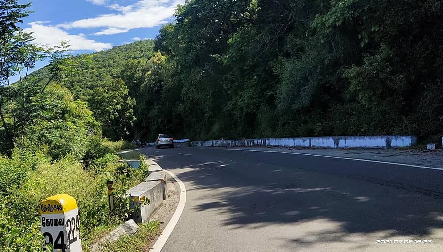 ಸತ್ಯಮಂಗಲ ಹುಲಿ ಸಂರಕ್ಷಿತ ಪ್ರದೇಶದ ದಿಂಬಂ ಘಾಟಿಯಲ್ಲಿ ಹಾದು ಹೋಗಿರುವ ರಾಷ್ಟ್ರೀಯ ಹೆದ್ದಾರಿ