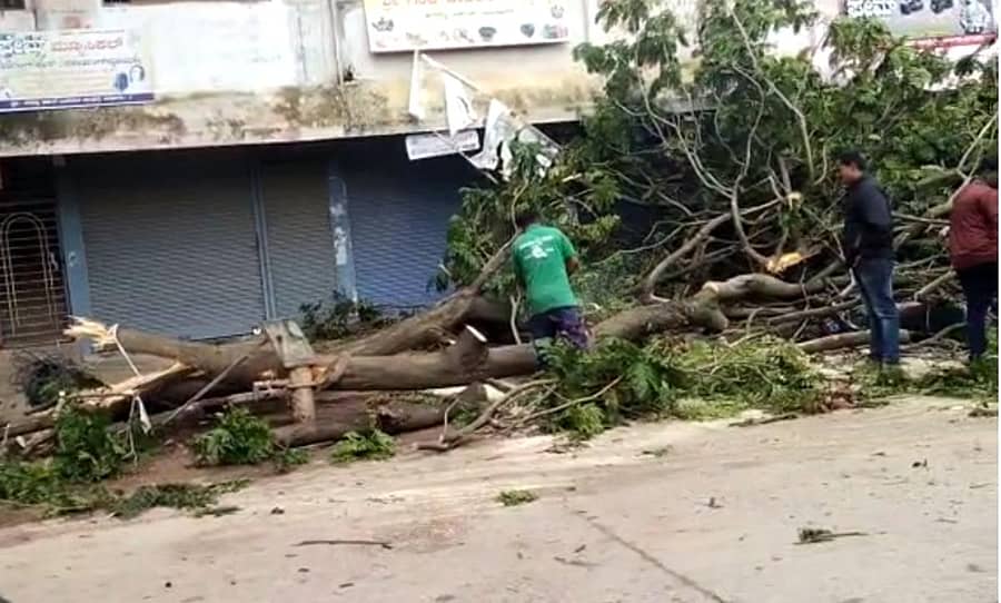 ದಾವಣಗೆರೆ ಹಗೆದಿಬ್ಬದಲ್ಲಿ ಬೈಕ್ಗಳ ಮೇಲೆ ಉರುಳಿರುವ ಮರ