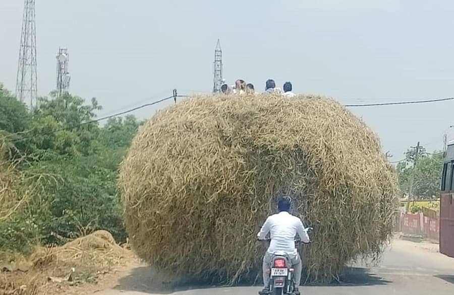 ಟ್ರ್ಯಾಕ್ಟರ್ನಲ್ಲಿ ಮೇವು ಸಾಗಿಸುತ್ತಿರುವ ದೃಶ್ಯ (ಸಾಂದರ್ಭಿಕ ಚಿತ್ರ)