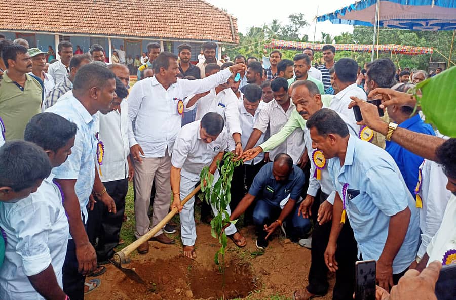 ತೀರ್ಥಹಳ್ಳಿ ತಾಲ್ಲೂಕಿನ ತನಿಕಲ್‌ ಮಹಾತ್ಮ ಗಾಂಧಿ ಸರ್ಕಾರಿ ಹಿರಿಯ ಪ್ರಾಥಮಿಕ ಶಾಲೆ ಸುವರ್ಣ ಸಂಭ್ರಮ ಕಾರ್ಯಕ್ರಮದಲ್ಲಿ ಗೃಹ ಸಚಿವ ಆರಗ ಜ್ಞಾನೇಂದ್ರ ಶನಿವಾರ ಹಣ್ಣಿನ ಗಿಡ ನೆಟ್ಟು ಕಾರ್ಯಕ್ರಮಕ್ಕೆ ಚಾಲನೆ ನೀಡಿದರು.